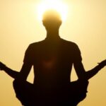 Pesta Yoga International